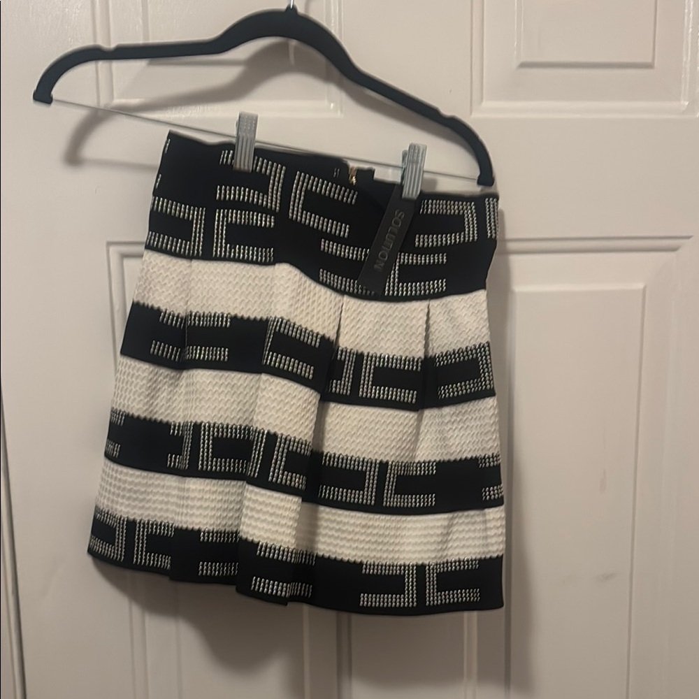 Black and White Pleated Skater Mini Skirt
